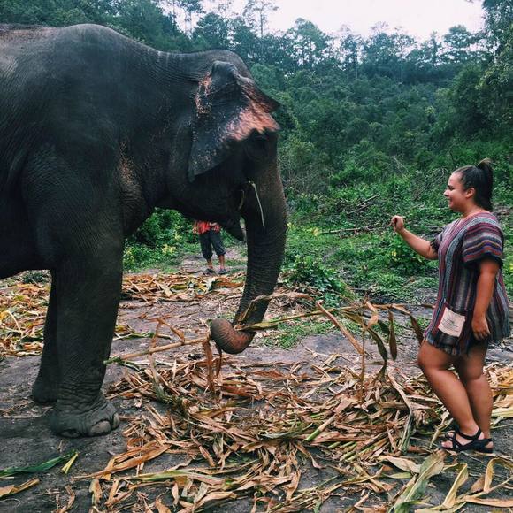 Meet your Posher, Alana - Picture 1 of 1